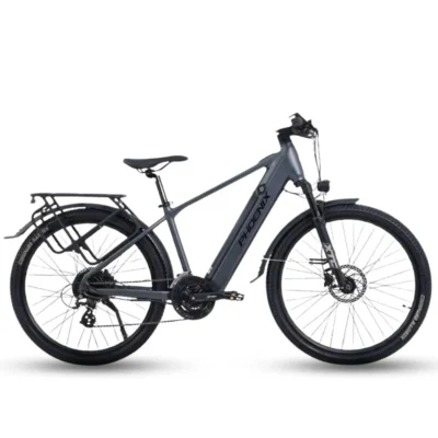 Xe Đạp Trợ Lực Phoenix LM