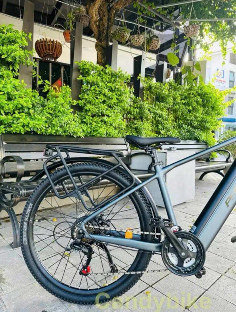 Xe Đạp Trợ Lực Phoenix LM Xe Đạp Trợ Lực Phoenix LM