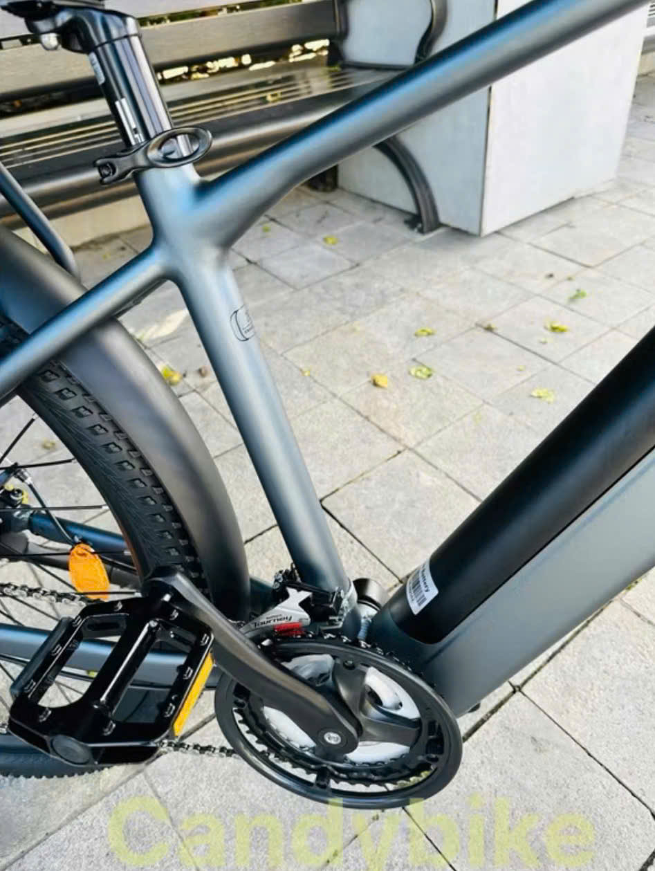 Xe Đạp Trợ Lực Phoenix LM Xe Đạp Trợ Lực Phoenix LM