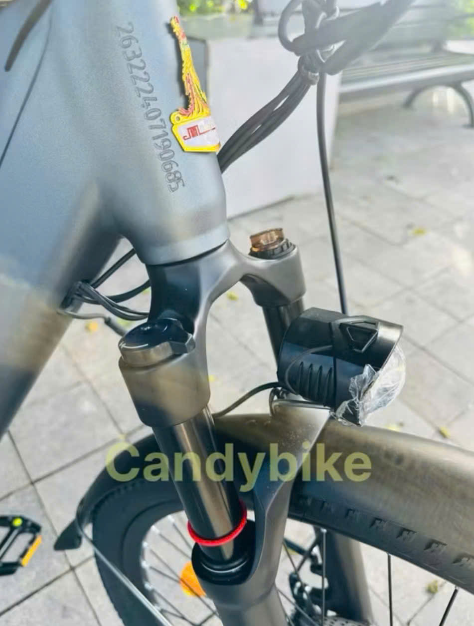 Xe Đạp Trợ Lực Phoenix LM Xe Đạp Trợ Lực Phoenix LM